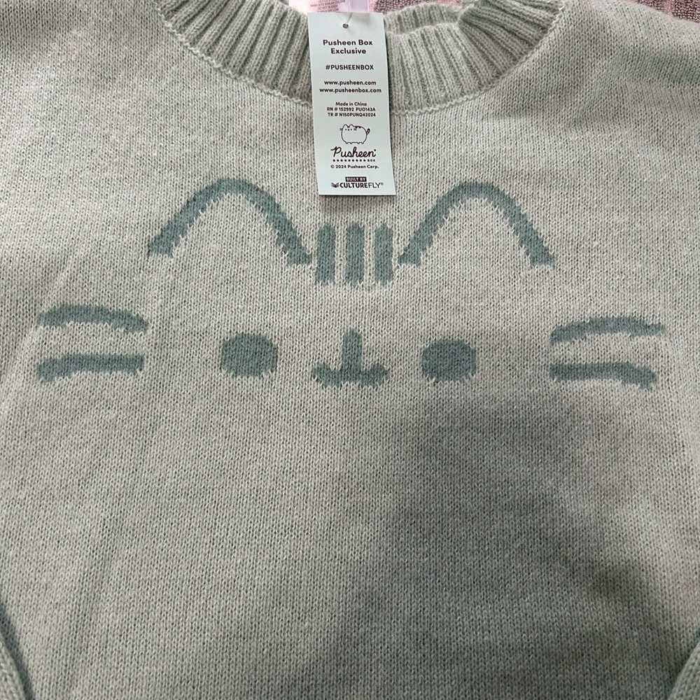 Pusheen Women's Mint Green Pusheen Oversized Sweater NWT 3XL - Picture 2 of 6
